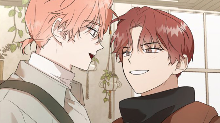 《庭院之花》,《庭院之花》漫画