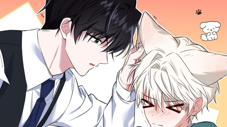 《弗林的狐狸饮料》,《弗林的狐狸饮料》漫画