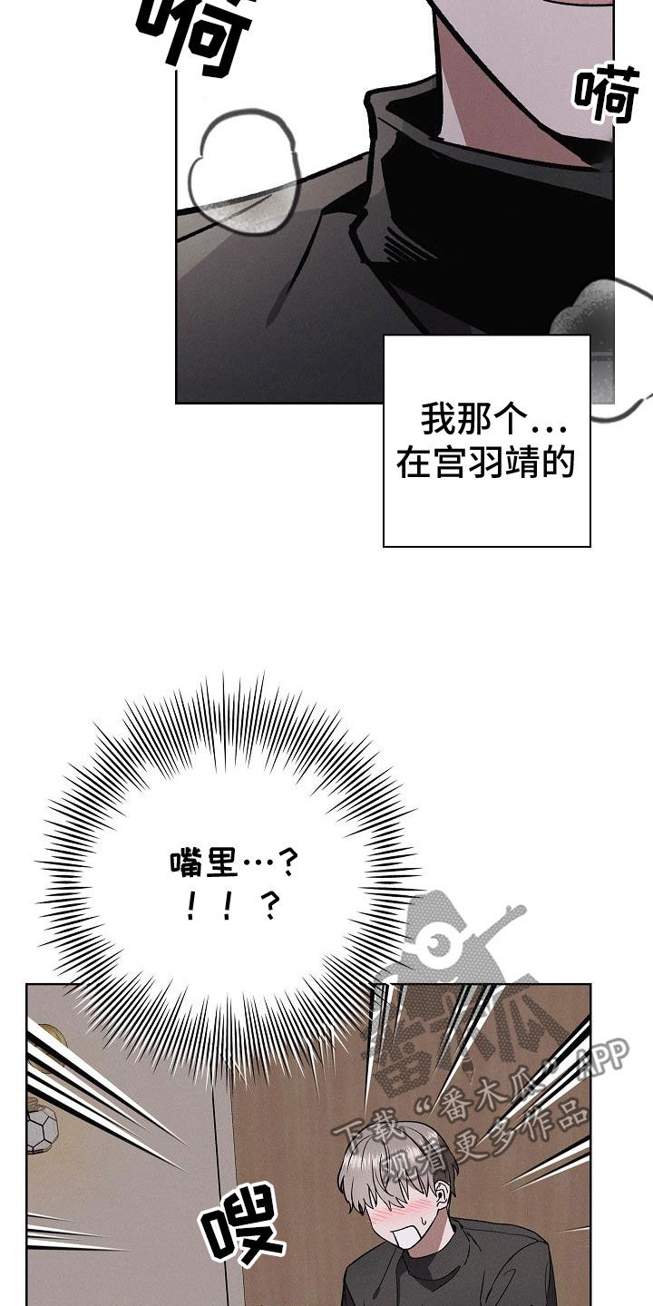 17.jpg