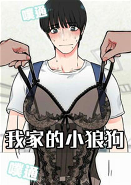 我家的小狼狗,我家的小狼狗漫画