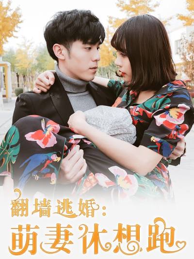 翻墙逃婚：萌妻休想跑,翻墙逃婚：萌妻休想跑漫画