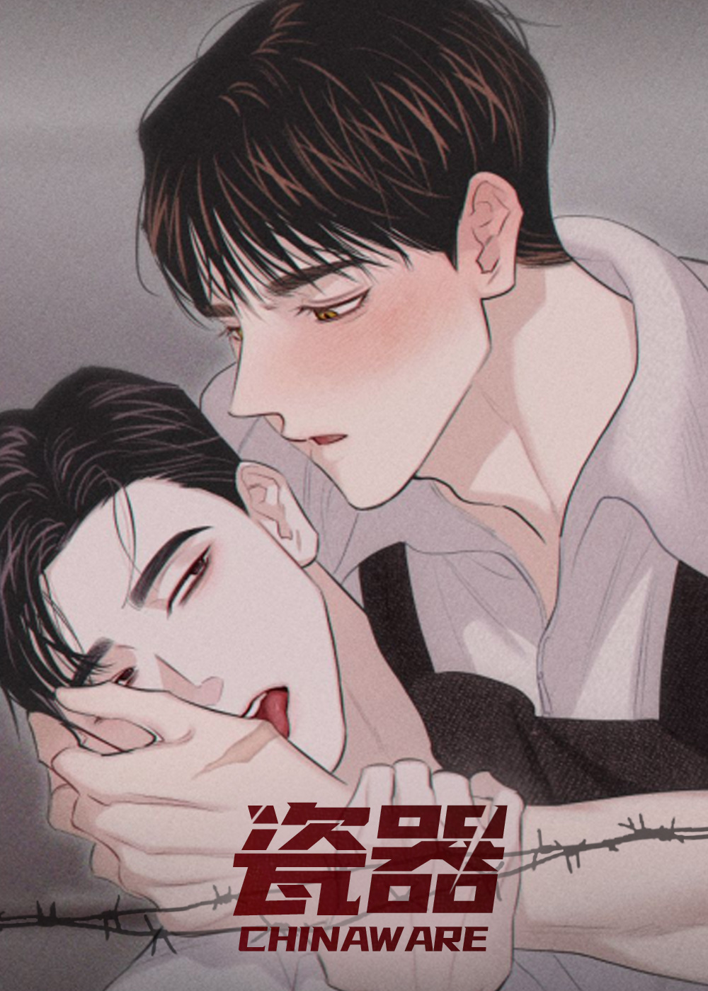 韩漫瓷器,韩漫瓷器漫画