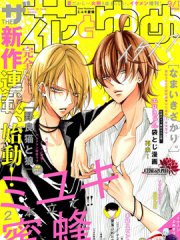 野猫与狼,野猫与狼漫画