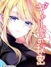 辣妹妻子的秘密,辣妹妻子的秘密漫画