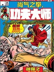 功夫大师,功夫大师漫画