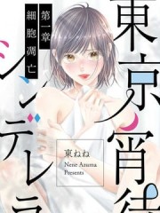 东京宵待辛德瑞拉,东京宵待辛德瑞拉漫画