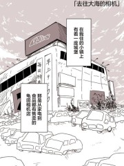 去往大海的相机,去往大海的相机漫画
